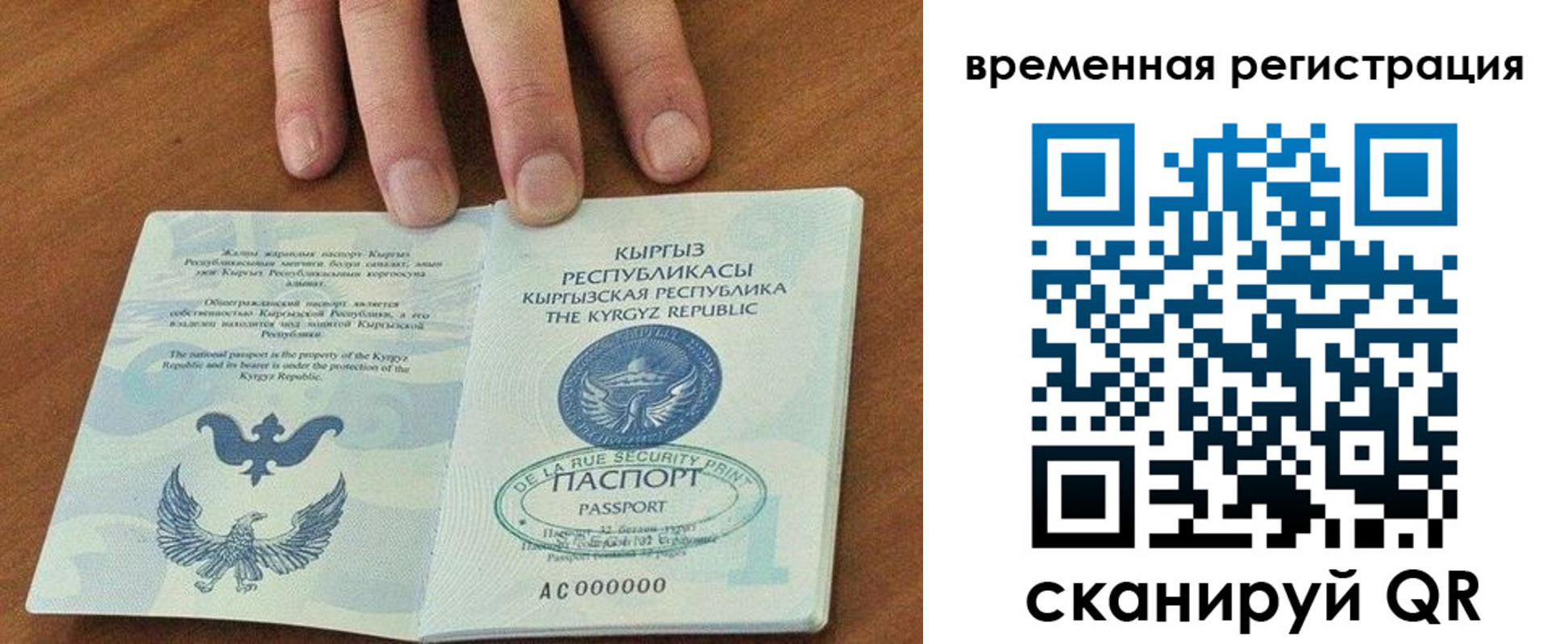 где прописаться в Болотном